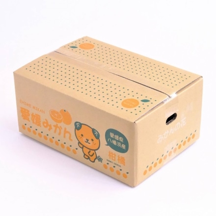 訳あり 愛媛産 不知火 しらぬい 4kg