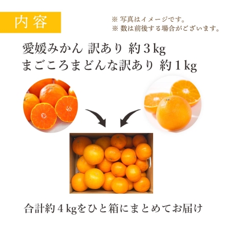 【11月下旬頃より順次出荷】 訳あり みかん まどんな 食べ比べ 詰め合わせセット