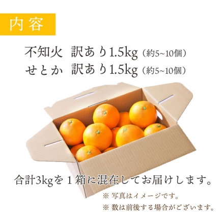 訳あり 【2月下旬頃より順次出荷】せとか 不知火 食べ比べセット 各1.5kg 計3kg