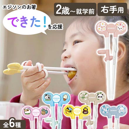 エジソンのお箸 右手用 ぱんだ