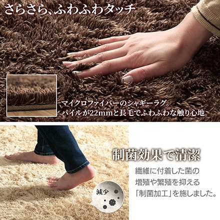 ルフォン 制菌ラグ 130×185cm 3986339 ベージュ
