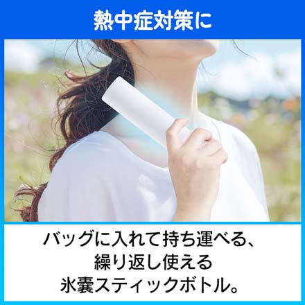 グローバル・ジャパン アイスボトル 氷嚢ボトル 1個