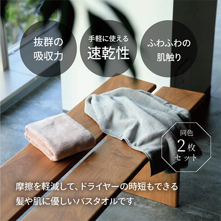 バスタオル シービージャパン カラリデイバスタオル2枚組 グレー