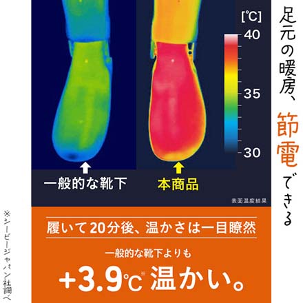 あったか温ソックス レディース PKxGY