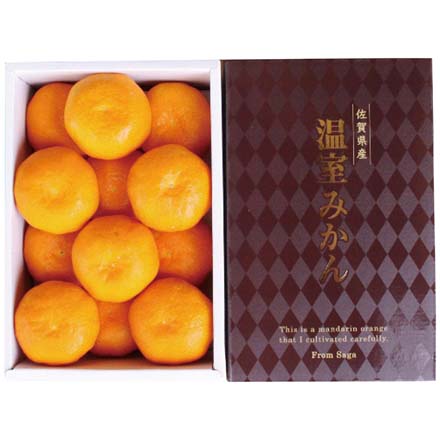 お中元 2025 佐賀県産 ハウスみかん1kg 4726-054