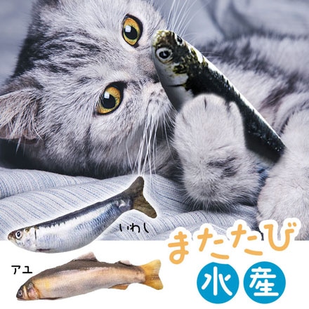 マルカン 魚のおもちゃ またたび水産 イワシ小