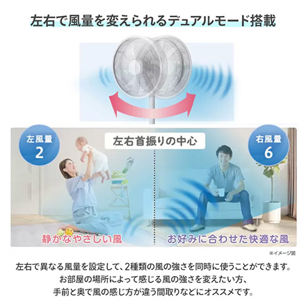 ZENKEN DC FAN 2 DCファン ZEF-DC2 ゼンケン