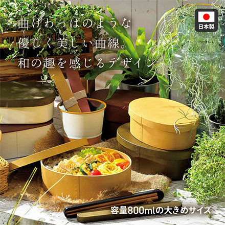 弁当箱 曲げわっぱ一段弁当大 ダークブラウン RIS