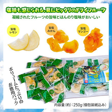 ドライフルーツ 乾燥フルーツ ドライ 旨塩レモン FDC