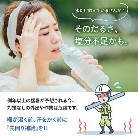 飴 匠の塩飴 MLS 3種アソート FDC