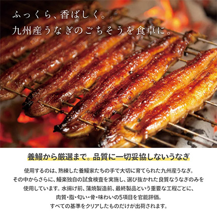 うなぎ蒲焼 切身3枚 めしの具(ごぼう入) セット 九州産 9846-015