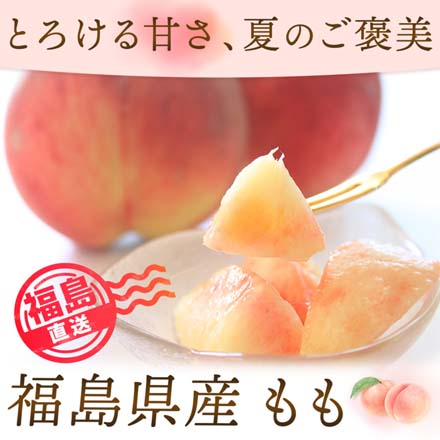 訳あり 福島県産 桃 約 4.7kg 東北ECグローバル