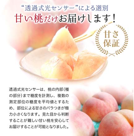 福島県産 桃 光センサー 特秀品 約 2.7kg 東北ECグローバル