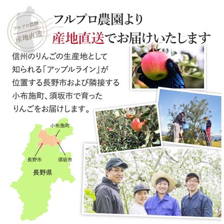 訳あり 長野県産 葉とらずふじりんご 10kg 東北ECグローバル