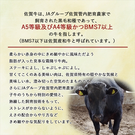 A5等級 メス牛限定 黒毛和牛 佐賀牛 シャトーブリアン ヒレ希少部位 ステーキ用 1枚 ( 150～170g )