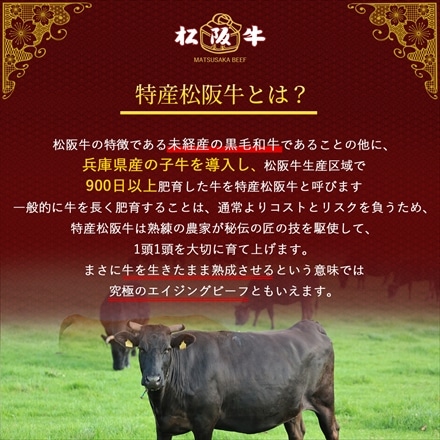 特産等級 松阪牛 赤身焼肉セット 800g A5等級 黒毛和牛 メス牛　肩・ モモなど