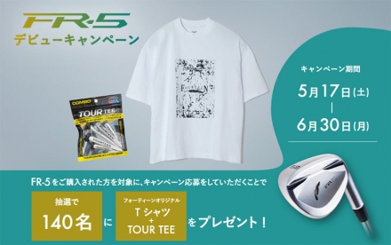 フォーティーン FR-5 ダイヤモンドブラックサテン仕上げ ウェッジ N.S.PRO TS101W-BK スチールシャフト 48度/8度