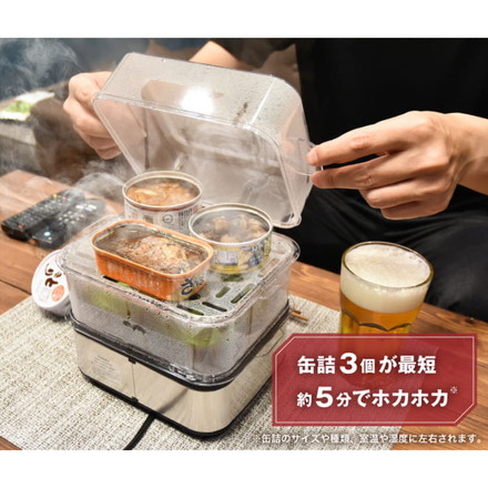 スチーマー 卓上スチーマー レンジ要らずで食べごろスチーマー 蒸し器 サンコー THANKO FSCAWSSBK