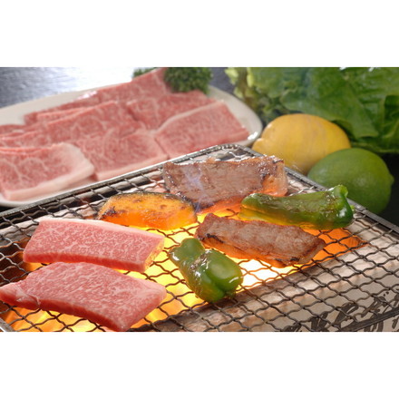佐賀牛肩ロース焼肉 Bセット 0130548 肩ロース480g