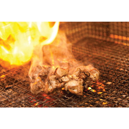 大山どり 焼肉用ムネ600g