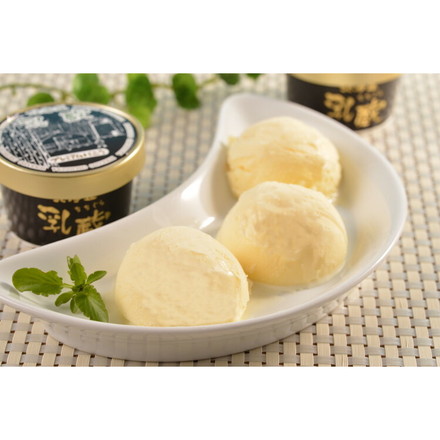 北海道 「乳蔵」 プレミアムバニラアイス8個 プレミアムバニラ80ml×8