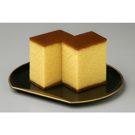 愛知 名古屋コーチン カステラ 10切れ 名古屋コーチンカステラ(10切れタイプ) 270g×2