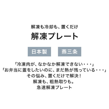 日本製 燕三条 解凍時のドリップが落ちる 穴あき バッド付き パンチング加工 解凍プレート