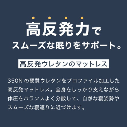 RISE 極厚高反発マットレス 350N 厚さ12.5cm シングル セミダブル ダブル ライズ東京 ゼログラビティ シングル グレー