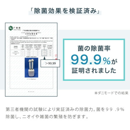 simplus 布団乾燥機 SP-FDYB01 エクリュグレー