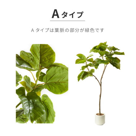 人工観葉植物 ウンベラータ 一本 フェイクグリーン 大型 ウンベラータ 155cm 160cm Bタイプ