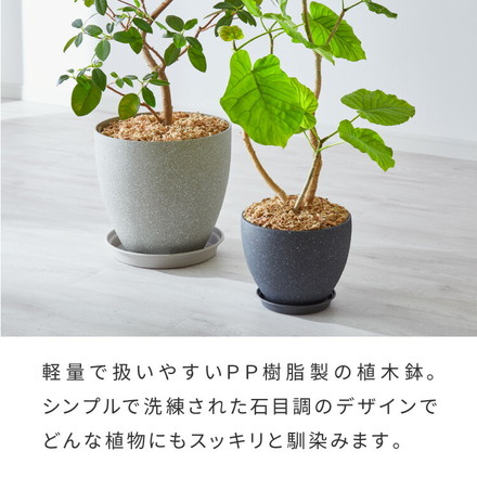 植木鉢 直径32.5cm 11号 ダークグレー