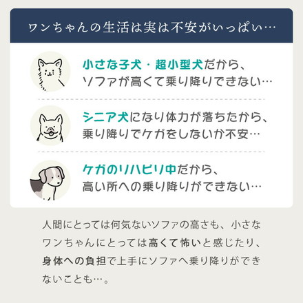 ドッグステップ 2段 スロープ 幅40cm ドッグスロープ ブラウン