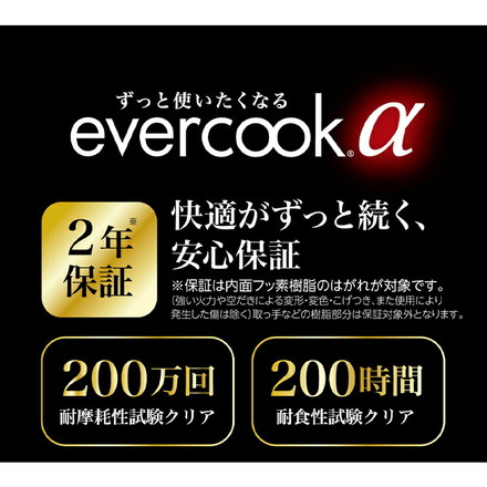 エバークック アルファ フライパン 22cm ガラス蓋セット EAFP22RDG