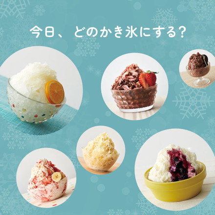 電動ふわふわとろ雪かき氷器 製氷カップ2個付き レシピ付き 電動 とろ雪 かき氷器 かき氷機 氷かき器 ブラック ブルー DTS-B5 ドウシシャ DOSHISHA ブラック