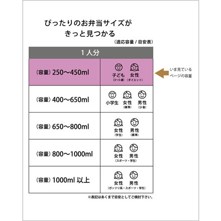 スケーター 銀イオン抗菌 子供用 弁当箱 ランチボックス 450ml とむとじぇりーごっこ RBF3ANAG キャラクター かわいい 可愛い Skater