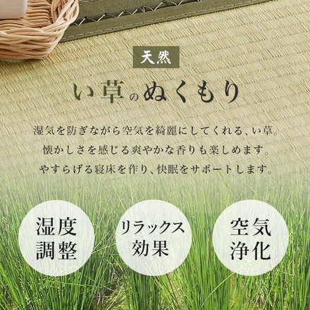 畳ベッド セミダブル 宮棚付き コンセント付き すのこベッド 畳マットレス 頑丈 耐荷重300kg ライトブラウン/クラマ