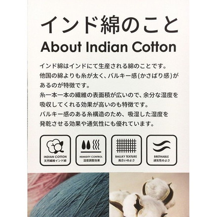 インド綿背当てクッション テラ 約45×45cm RE