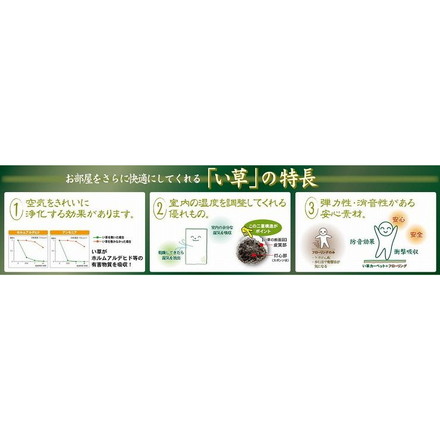 国産い草センターラグ(裏貼り) エルモード 約191×191cm BR