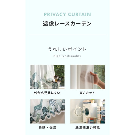 レースカーテン 柄 モンステラ プリント 見えにくい 40サイズ UVカット 遮像 断熱 保温 ウォッシャブル カーテン 省エネ 一人暮らし 新生活 幅100 幅200 ボタニカル 植物 幅100×丈108cm2枚組