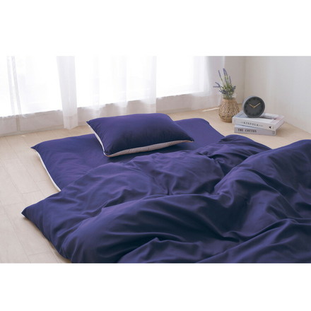 アイリスオーヤマ ふっくら布団 9点セット シングル ブルー KFS-F9S 布団セット IRIS