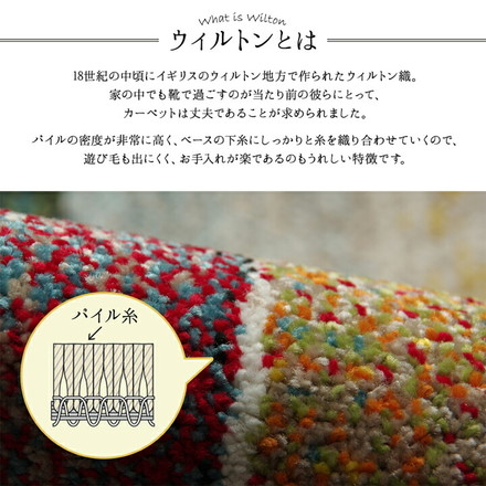 玄関マット トルコ製 ウィルトン織り 約50×80cm 抗菌防臭 消臭機能 へたりにくい シンプル 玄関マット