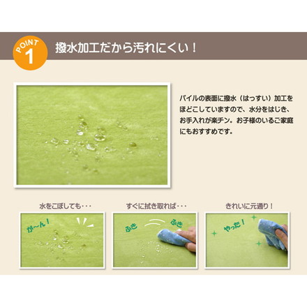 水分をはじく 撥水加工カーペット 『撥水リラCE』 ブラウン 200x250cm