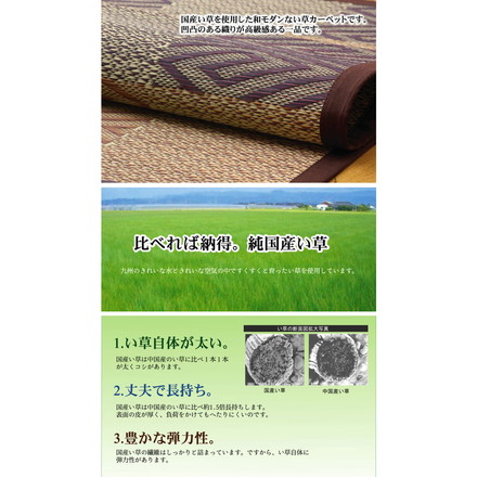 純国産 い草花ござカーペット 『五風』 ブラウン 江戸間4.5畳（約261×261cm）