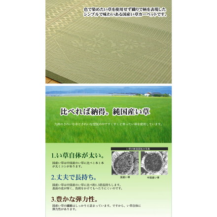 純国産 イ草花ござカーペット 『扇』 江戸間4.5畳（約261×261cm)