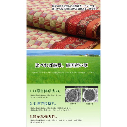 純国産 イ草花ござカーペット 『かれん』 ブルー 江戸間8畳（約348×352cm)