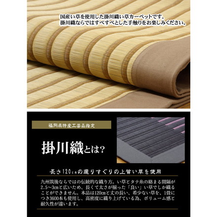 純国産 掛川織 い草ラグカーペット 『剣ヶ峰』 ブラック 約200×200cm