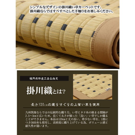 純国産 掛川織 い草カーペット 『スウィート』 江戸間2畳（約174×174cm)