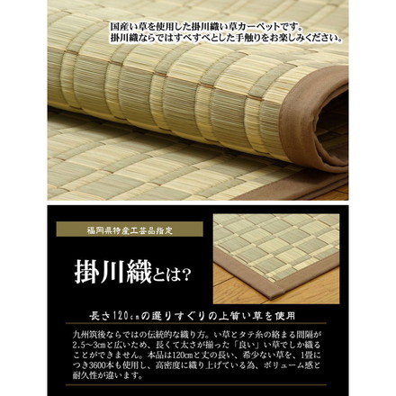 純国産 掛川織 い草カーペット 『松川』 ベージュ 江戸間2畳（約174×174cm)