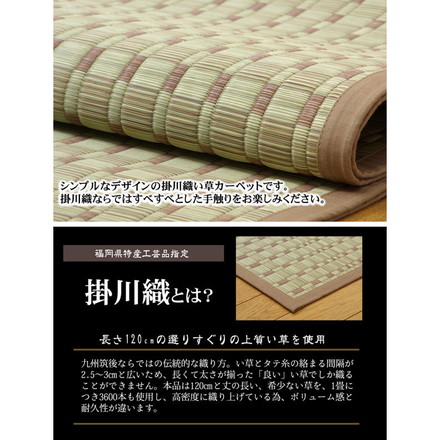 純国産 掛川織 い草カーペット 『奥丹後』 江戸間8畳（約348×352cm）