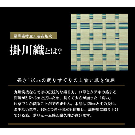 掛川織 い草カーペット 『雲仙』 ベージュ 本間4.5畳（約286×286cm)